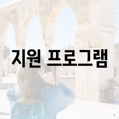 지원 프로그램