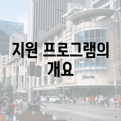 지원 프로그램의 개요