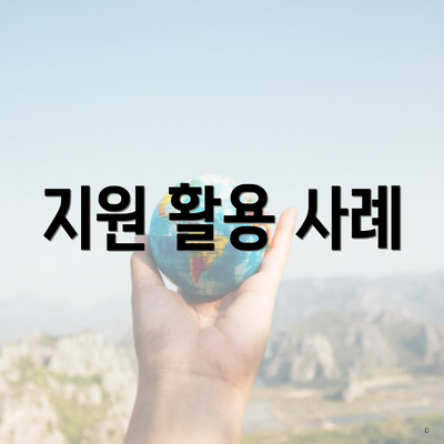 지원 활용 사례