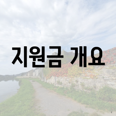 지원금 개요