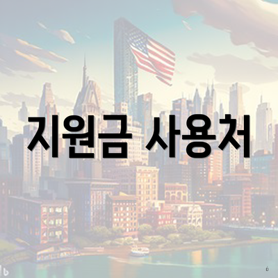 지원금 사용처