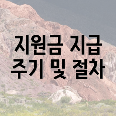 지원금 지급 주기 및 절차
