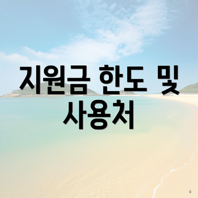 지원금 한도 및 사용처