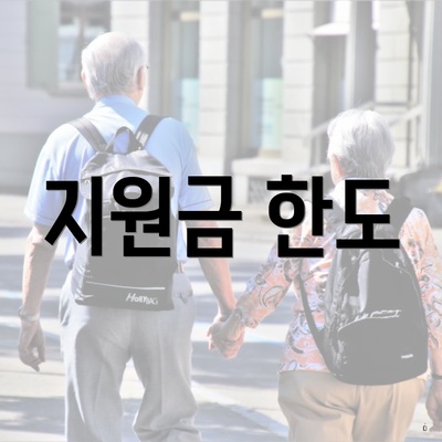 지원금 한도