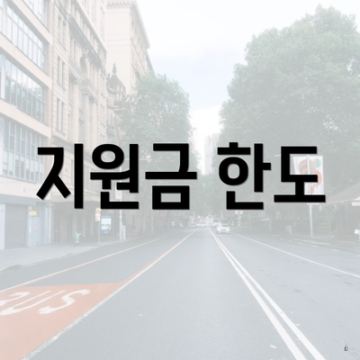 지원금 한도