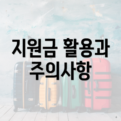 지원금 활용과 주의사항