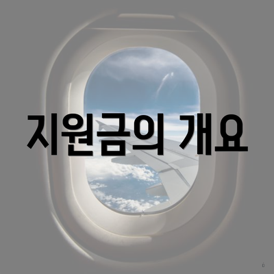 지원금의 개요