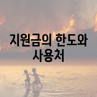 지원금의 한도와 사용처