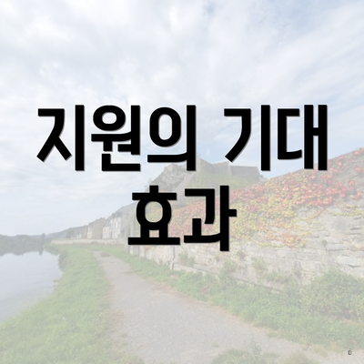 지원의 기대 효과