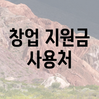 창업 지원금 사용처