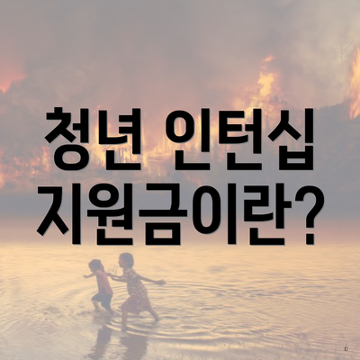 청년 인턴십 지원금이란?