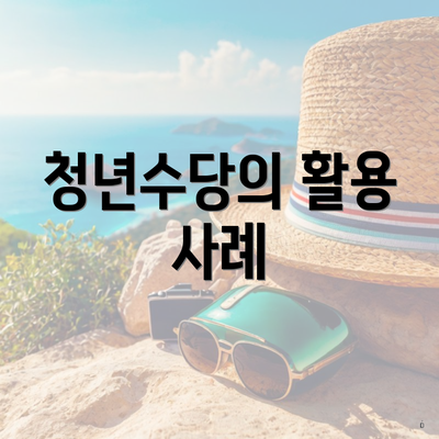 청년수당의 활용 사례