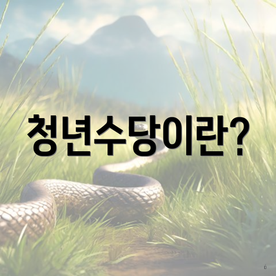 청년수당이란?
