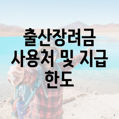 출산장려금 사용처 및 지급 한도