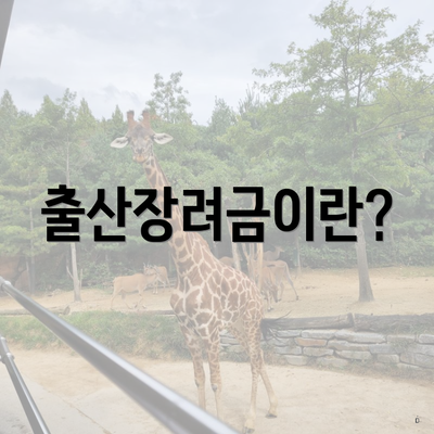 출산장려금이란?