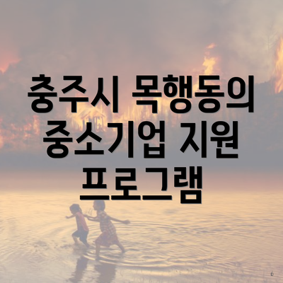 충주시 목행동의 중소기업 지원 프로그램