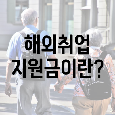 해외취업 지원금이란?