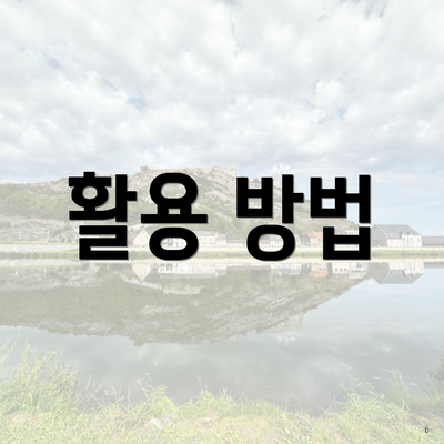 활용 방법