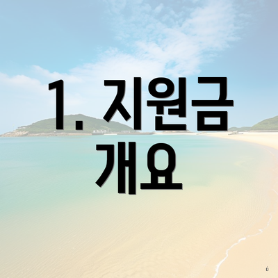 1. 지원금 개요