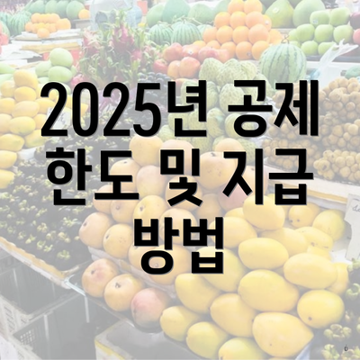 2025년 공제 한도 및 지급 방법