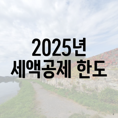 2025년 세액공제 한도