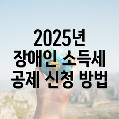 2025년 장애인 소득세 공제 신청 방법