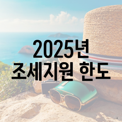 2025년 조세지원 한도