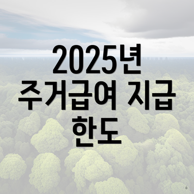 2025년 주거급여 지급 한도