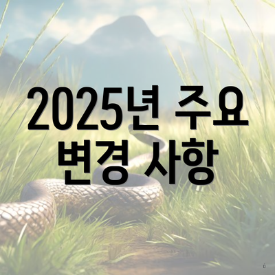 2025년 주요 변경 사항