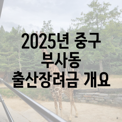 2025년 중구 부사동 출산장려금 개요