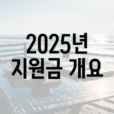 2025년 지원금 개요