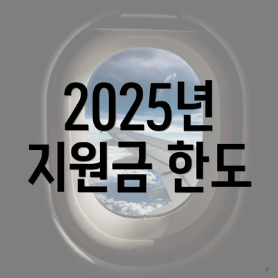 2025년 지원금 한도