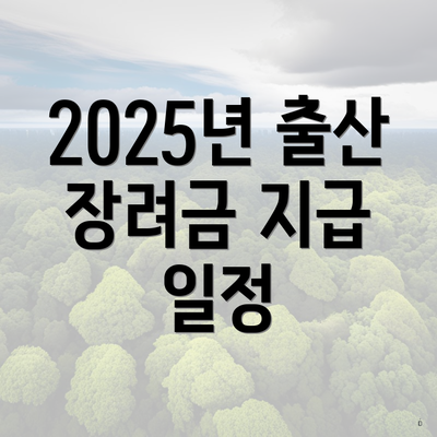 2025년 출산 장려금 지급 일정