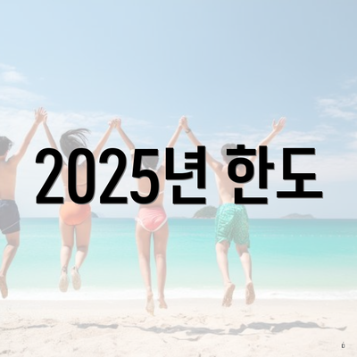 2025년 한도