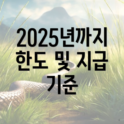 2025년까지 한도 및 지급 기준