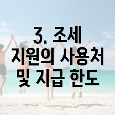 3. 조세 지원의 사용처 및 지급 한도