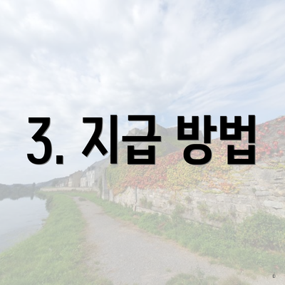 3. 지급 방법