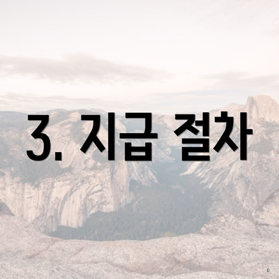 3. 지급 절차