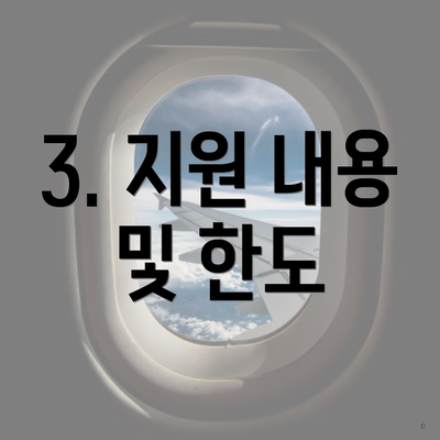 3. 지원 내용 및 한도