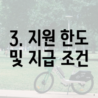 3. 지원 한도 및 지급 조건