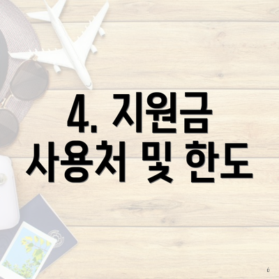 4. 지원금 사용처 및 한도