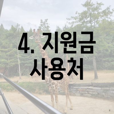 4. 지원금 사용처