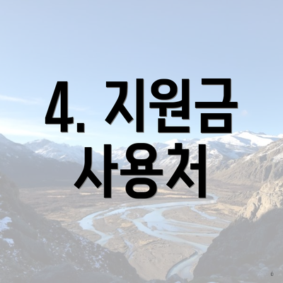 4. 지원금 사용처