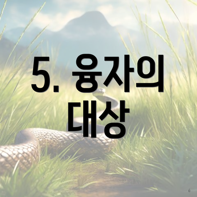 5. 융자의 대상