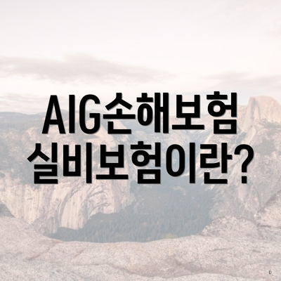 AIG손해보험 실비보험이란?