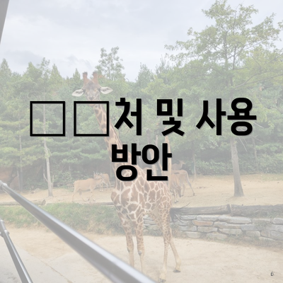 支出처 및 사용 방안
