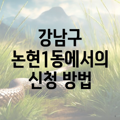 강남구 논현1동에서의 신청 방법