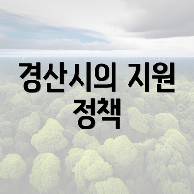 경산시의 지원 정책