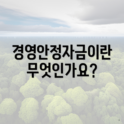 경영안정자금이란 무엇인가요?