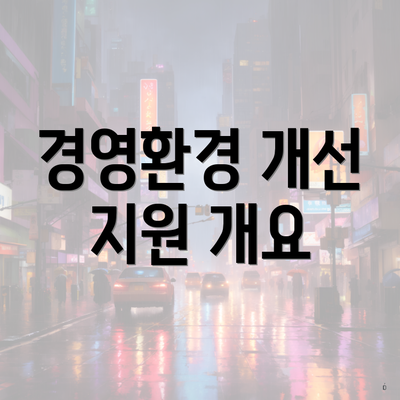 경영환경 개선 지원 개요